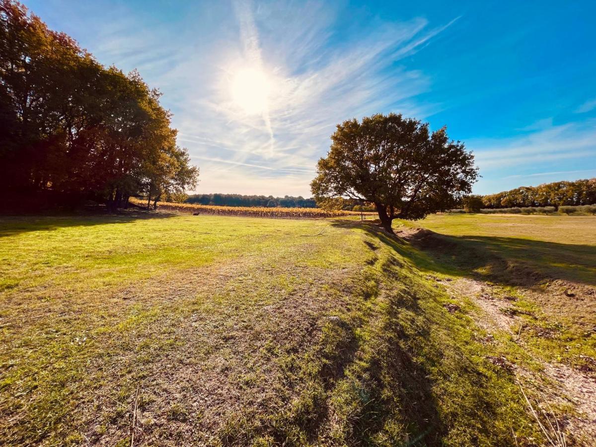 Domaine Amourella Aparthotel Lambesc Eksteriør bilde